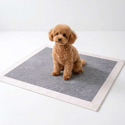 Dog Training Pads | Ultra Absorbent Leak Proof Puppy Pee Pads (Pack of 10)