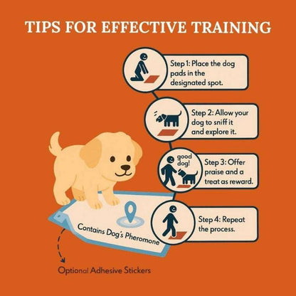 Dog Training Pads | Ultra Absorbent Leak Proof Puppy Pee Pads (Pack of 10)
