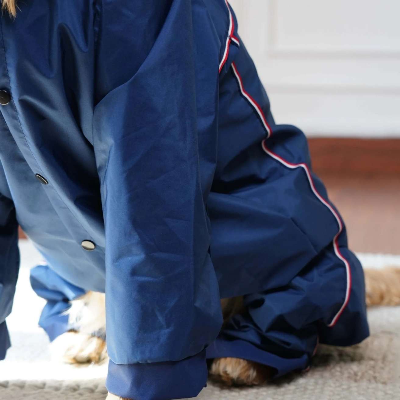 Dog Raincoat with Transparent Hood | Lightweight Rain Jacket