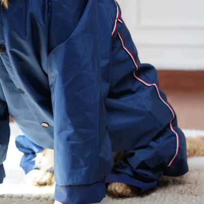 Dog Raincoat with Transparent Hood | Lightweight Rain Jacket