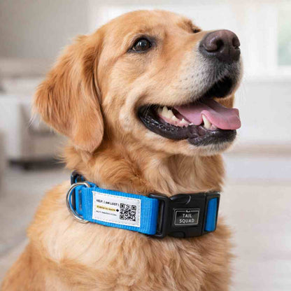 Pet Collar With QR Code | Smart ID Safety Collar For Dogs (Blue)