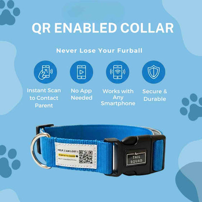 Pet Collar With QR Code | Smart ID Safety Collar For Dogs (Blue)