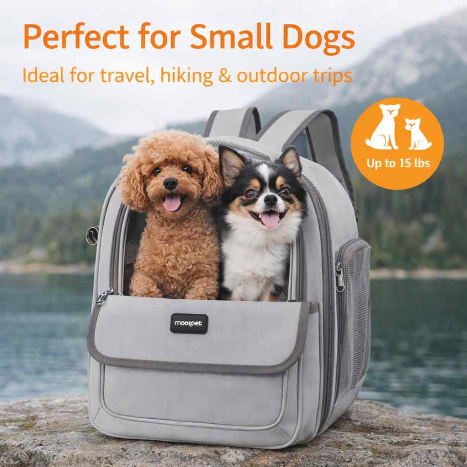 Pet Backpack Bags | Dog & Cat Carrier Travel Backpacks