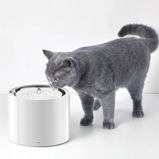 Automatic Pet Water Fountain For Cats & Dogs | Eversweet 3 Pro (White)
