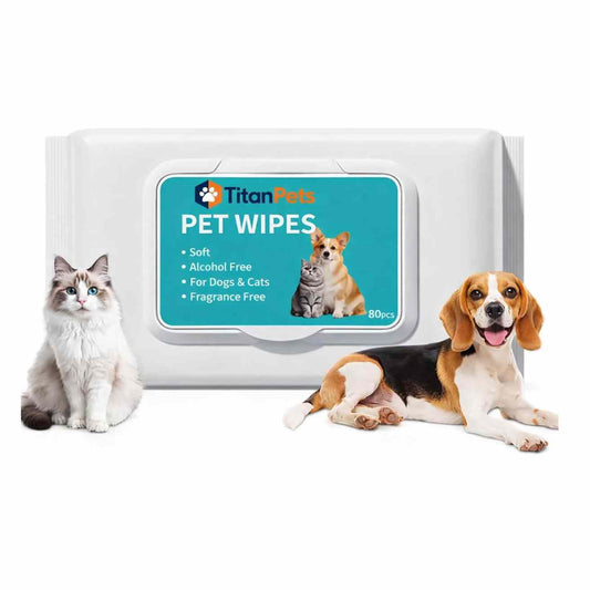Antibacterial Pet Wet Wipes for Dogs & Cats (80 Pcs)