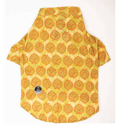 Traditional Green Printed Yellow Kurta for Dogs