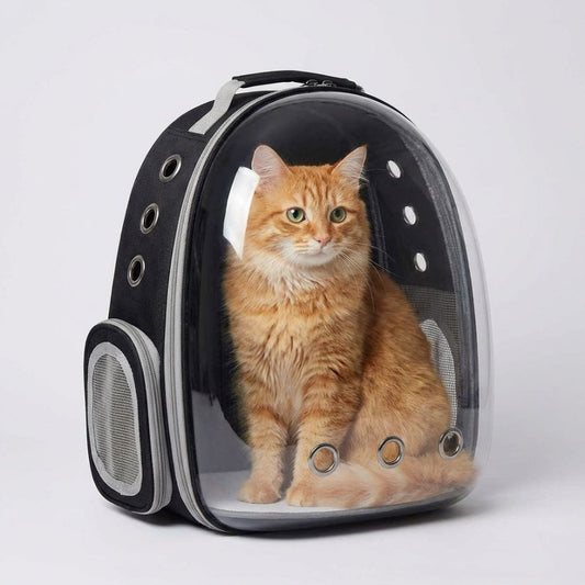 Pet Carrier Backpack for Cats & Small Dogs