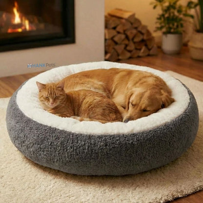 Pawas Paradise Pet Bed | Ultra Soft Cozy Bed for Dogs & Cats | Anti Skid