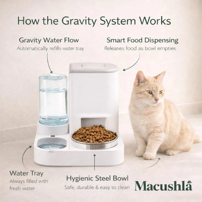 Pet Feeding Station for Cats and Dogs
