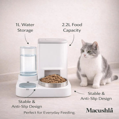 Pet Food Storage and Water Dispenser