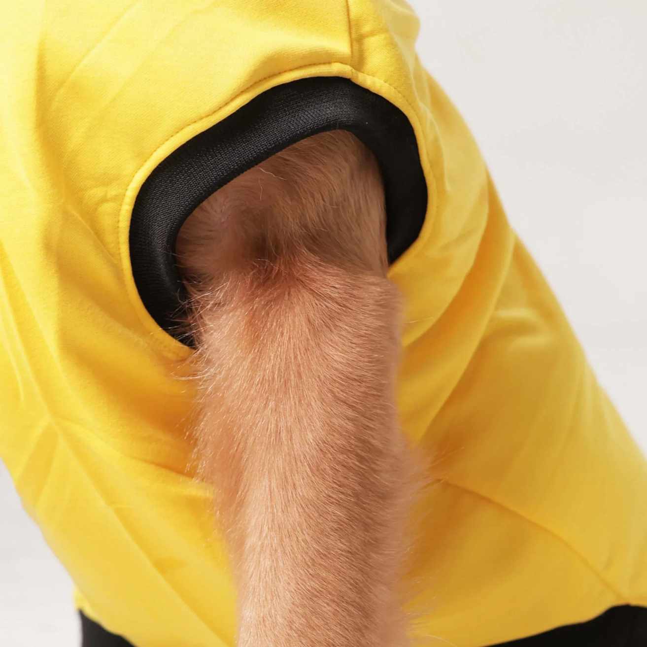 Good Vibes Only Printed Dog T-Shirt | Casual Summer Wear (Yellow)