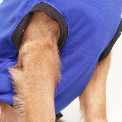 Cute Dog Graphic Printed T-Shirt | Casual Everyday Wear (Blue)
