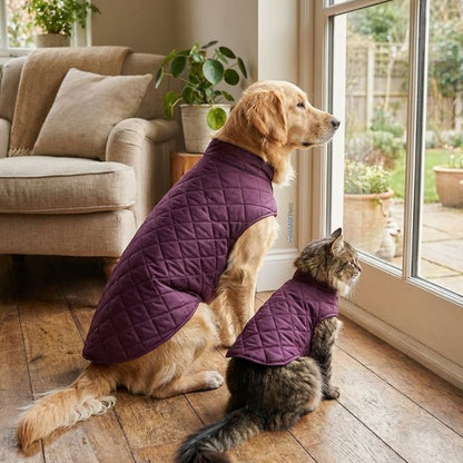 Wine Puffer Quilted Jacket for Dogs & Cats