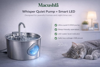 Pet Water Dispenser Fountain