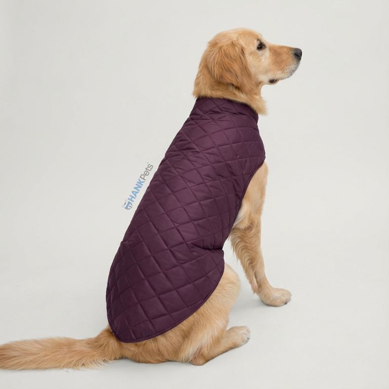 Wine Puffer Quilted Jacket for Dogs & Cats