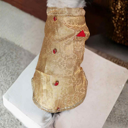 Royal Rajwada Kurta|  Wedding & Festive Ethnic Wear For Dogs