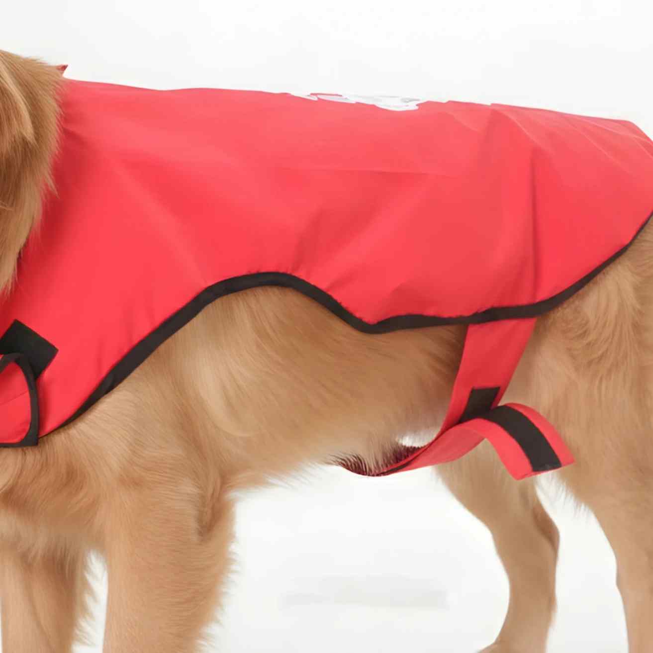 Happy Paws Dog Raincoat | Waterproof Cartoon Monsoon Jacket