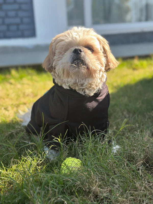 Petsnugs Dino Snug Hoodie for Dogs & Cats