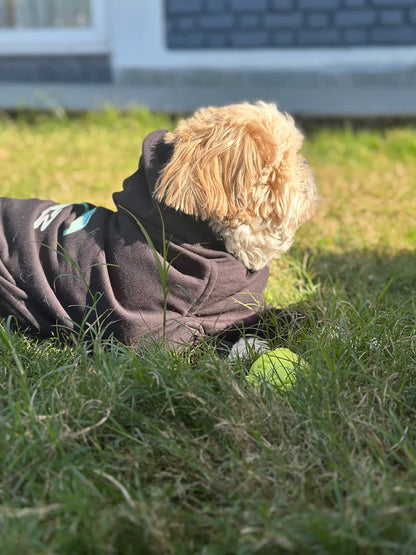 Petsnugs Dino Snug Hoodie for Dogs & Cats