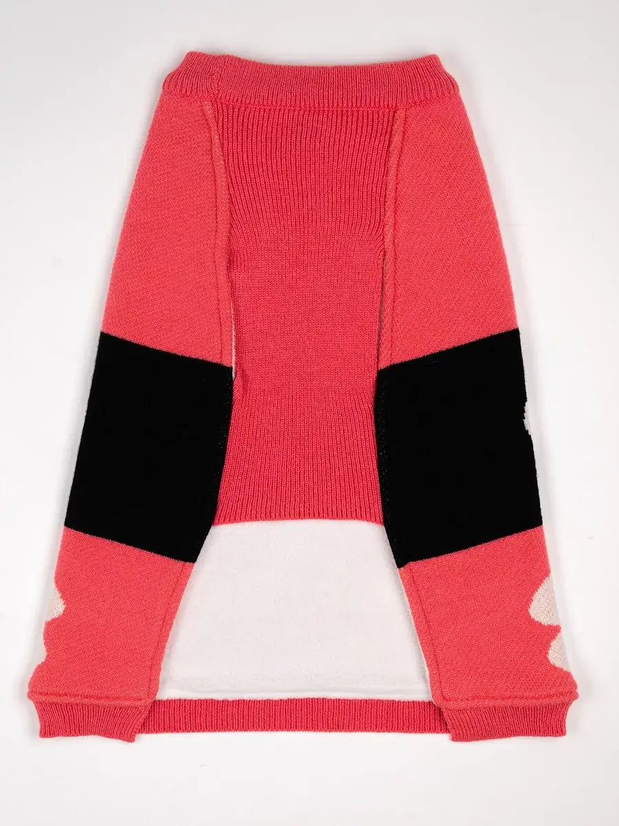 Pink Bone Sweater Dog