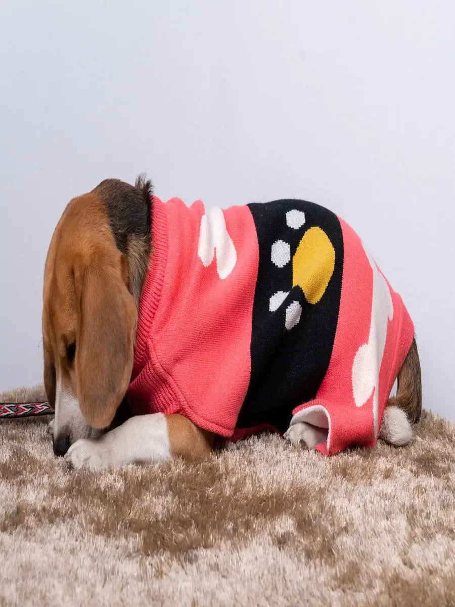 Pink Bone Sweater Dog