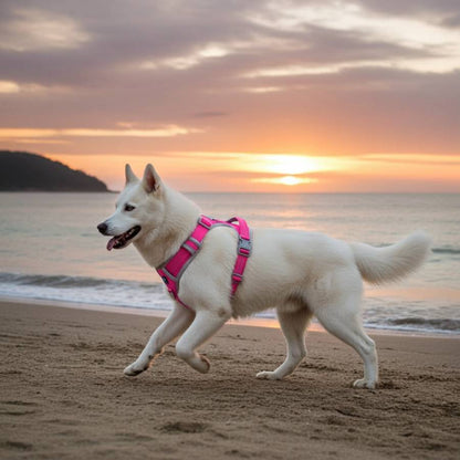 HANK No Pull 3M Reflective Dog Harness | Pink