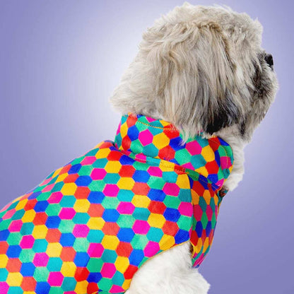 Polka Dots Kurta for Dogs – Elegant Festive Ethnic Outfit for Pets