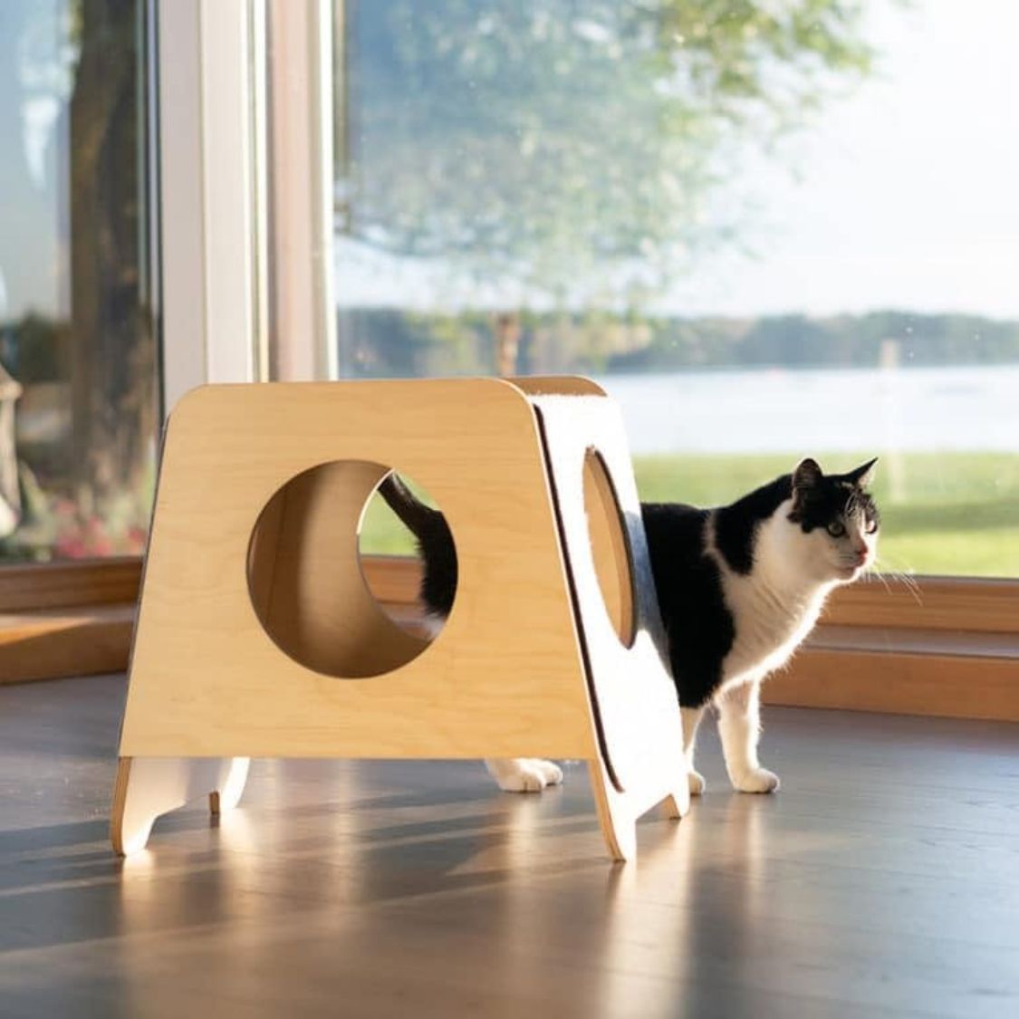 Cat Condo Bed for Indoor Cats | Nordic Birch Wood Cat House with 360° View