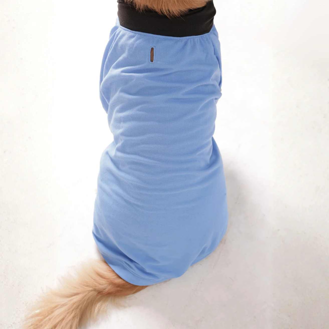 Sky Blue Dog Collar T-Shirt | Breathable Everyday Dog Wear (Blue)