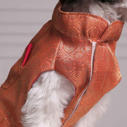 Royal Brocade Dog Kurta | Premium Festive Ethnic Wear for Dogs (Orange)