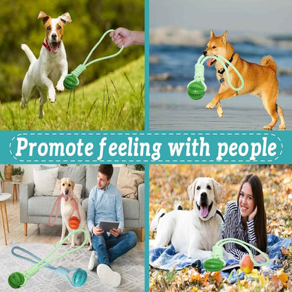 Dog Rope Toy with Rubber Ball | Tug & Chew for Puppies