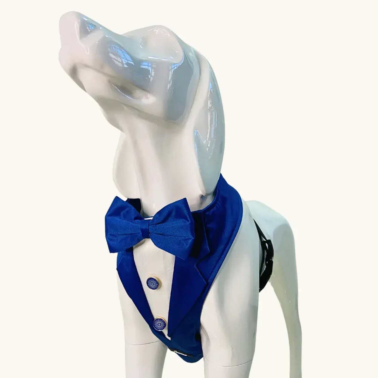 Dog Tuxedo Harness – Designer Party Wear(Blue)