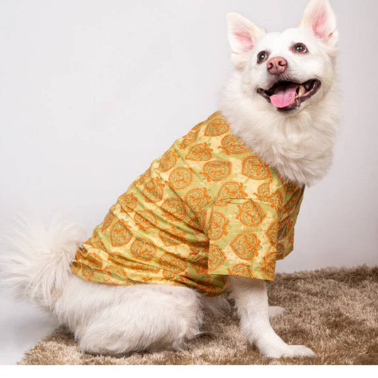 Traditional Green Printed Yellow Kurta for Dogs