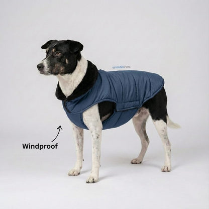 Dog Waterproof Winter Dog & Cat Coat | Puffer Style