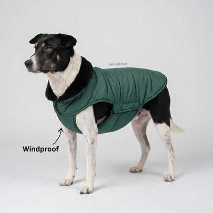 Waterproof Winter Dog Coat | Puffer Style
