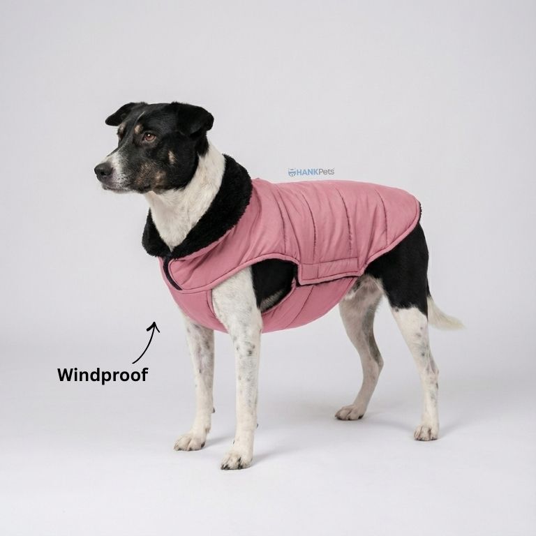Pink Waterproof & Windproof Dog Winter Jacket