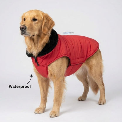 Warm Red Puffer Dog Coat | Waterproof & Lightweight