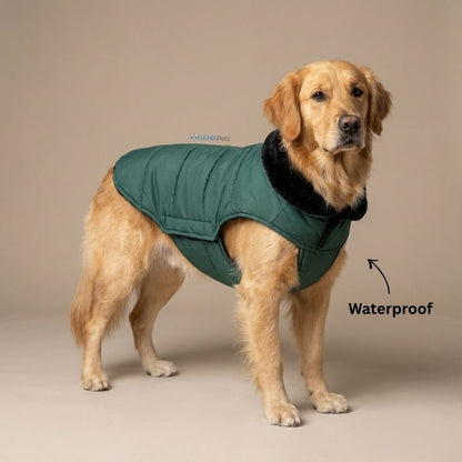 Waterproof Winter Dog Coat | Puffer Style