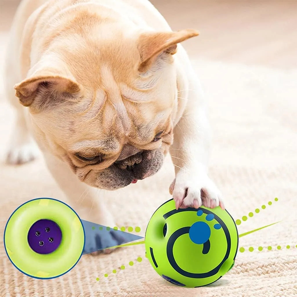 Puppy chewing interactive treat toy indoors