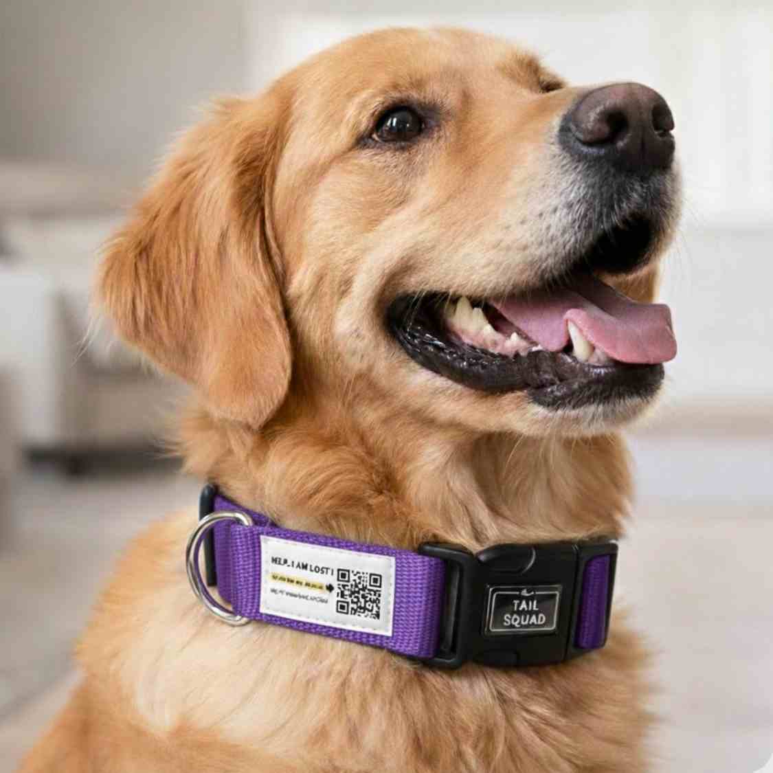 Pet Collar With QR Code | Smart ID Safety Collar For Dogs (Purple)