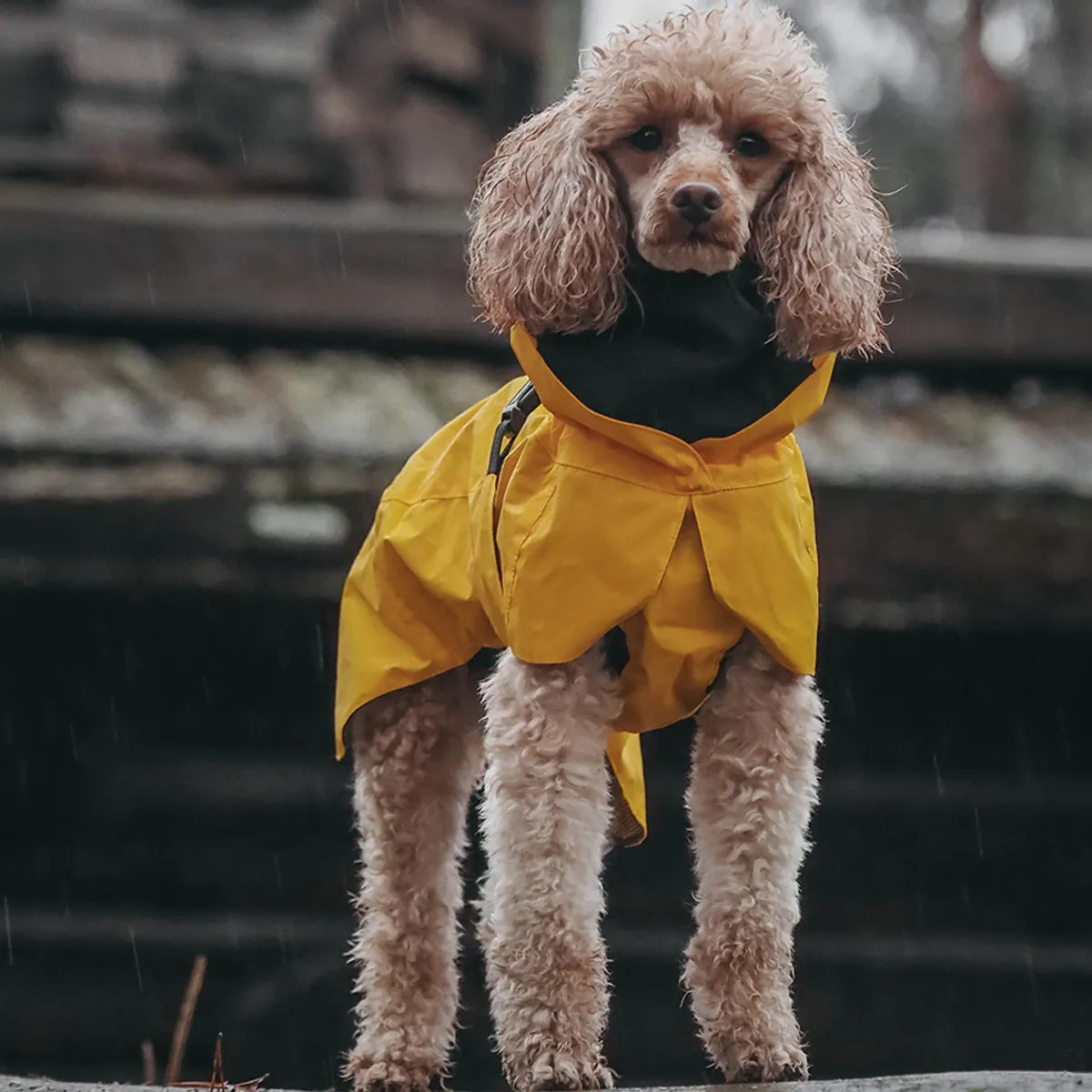 Yellow Waterproof Dog Raincoat with Hood