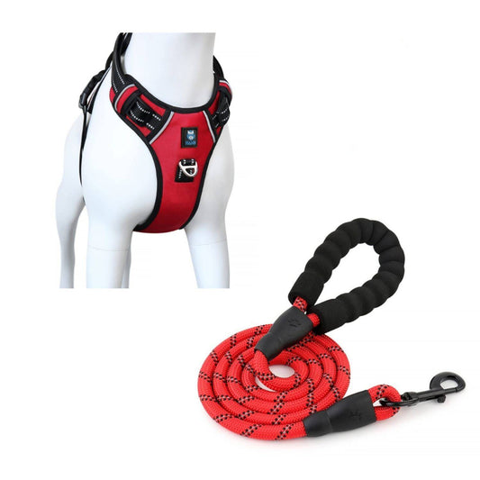 Red Dog Harness