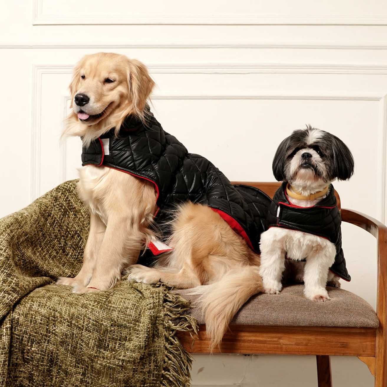 Black Luxe Quilted Pet Jacket with Red Collar | Stylish Winter Coat