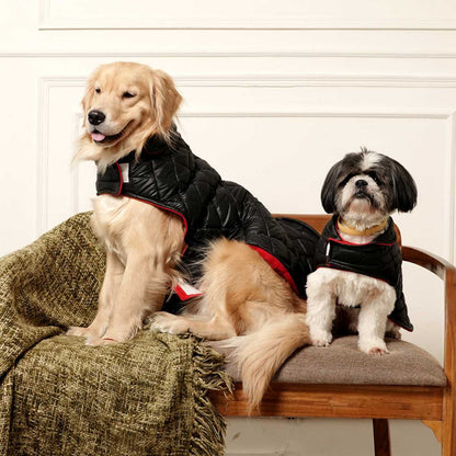 Black Luxe Quilted Pet Jacket with Red Collar | Stylish Winter Coat