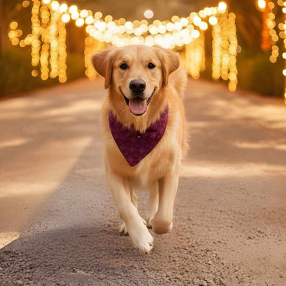 Crimson Charm Chikankari Dog Bandana | Festive & Stylish Pet Wear