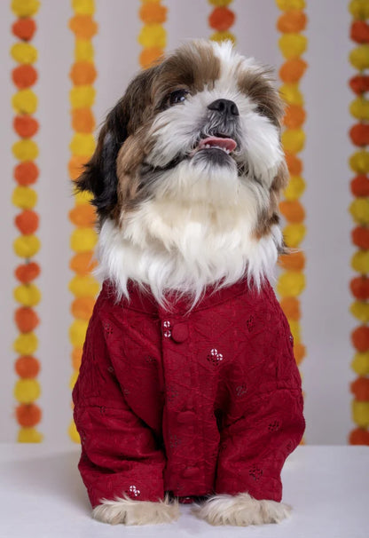 Red Dog Sherwani