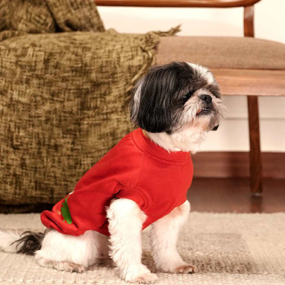 Jingle Joy T-shirt | Christmas Red Winter Pet T-shirt