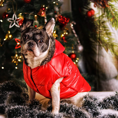 Warm Red Puffer Dog Coat | Waterproof & Lightweight