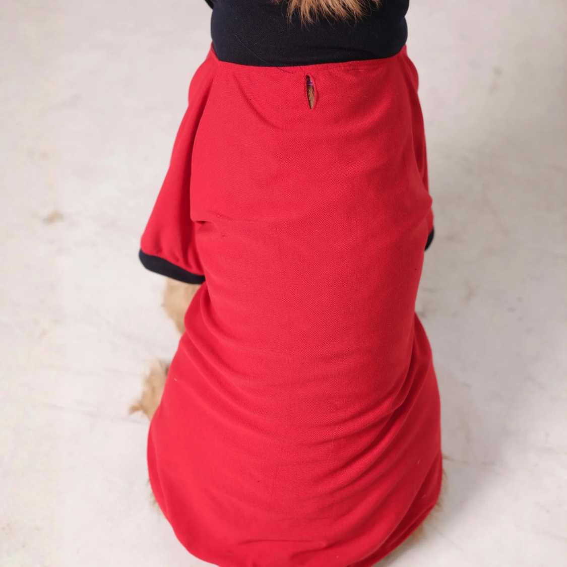 Classic Polycotton Dog T-Shirt | Soft & Breathable Everyday Dog Clothing (Red)