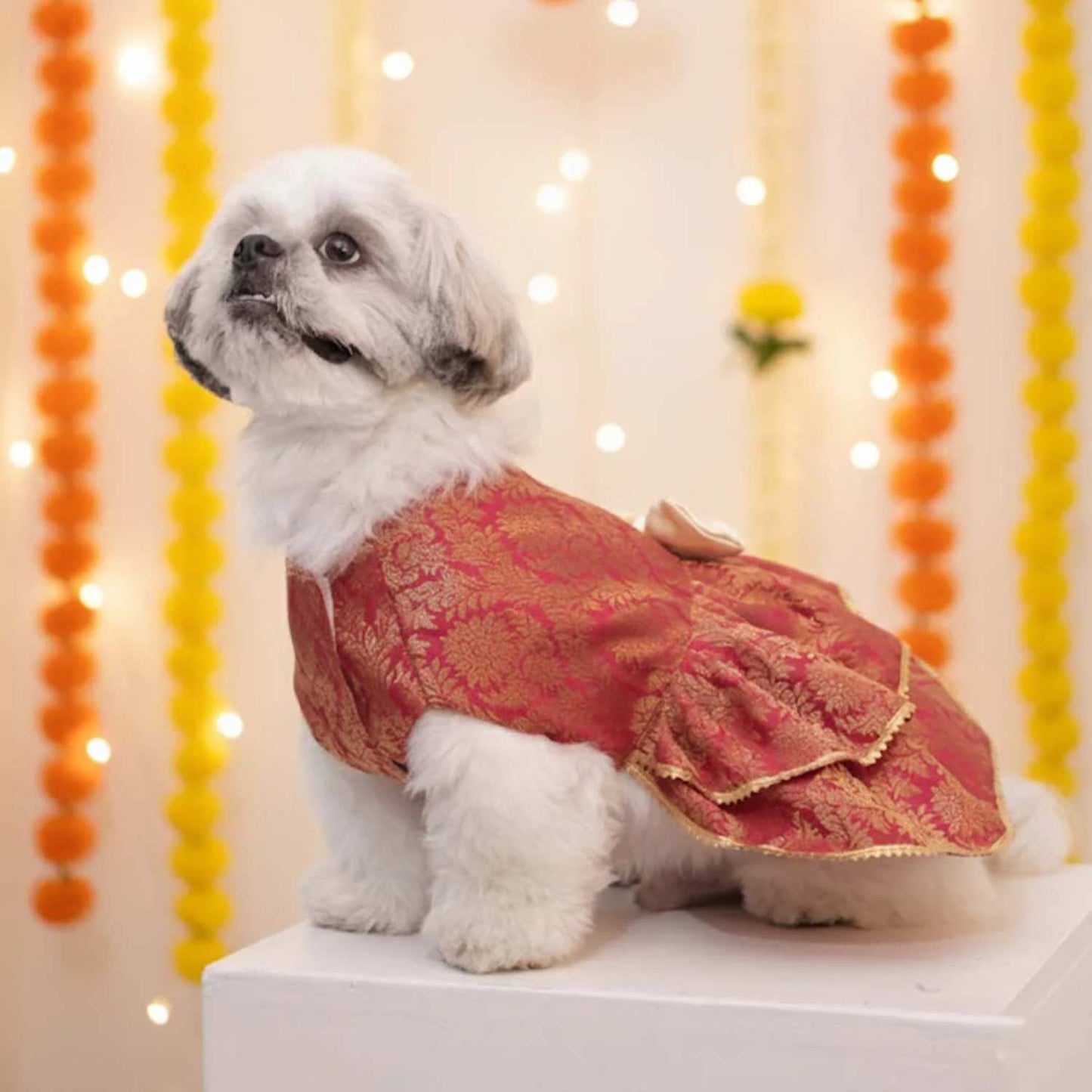 Maharani Pet Lehenga – Royal Designer Ethnic Wear for Dogs